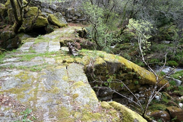 Foto 37 da atividade Galeria de Fotos