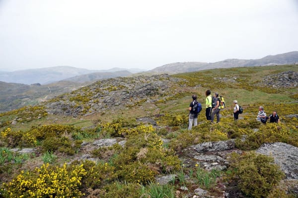 Foto 28 da atividade Galeria de Fotos