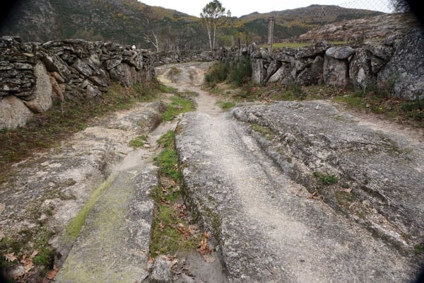 Foto 7 da atividade Galeria de Fotos