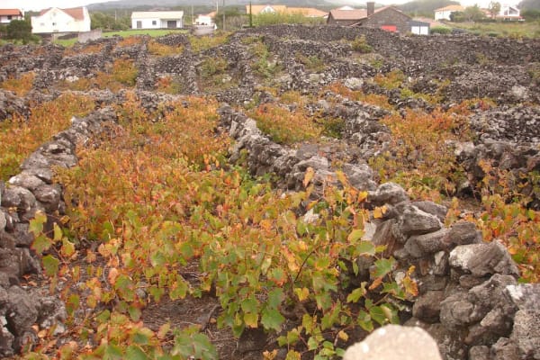 Foto 76 da atividade Galeria de Fotos