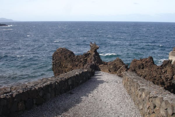 Foto 61 da atividade Galeria de Fotos