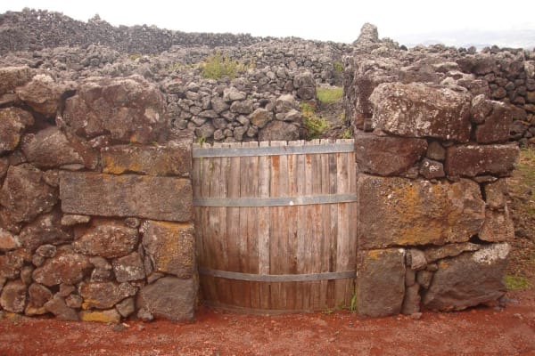 Foto 53 da atividade Galeria de Fotos