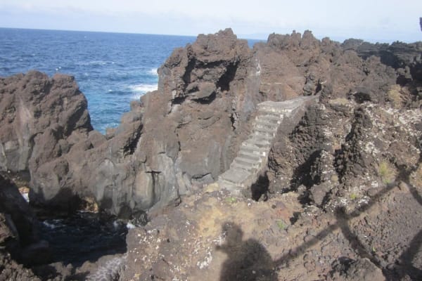 Foto 50 da atividade Galeria de Fotos