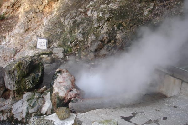 Foto 45 da atividade Galeria de Fotos