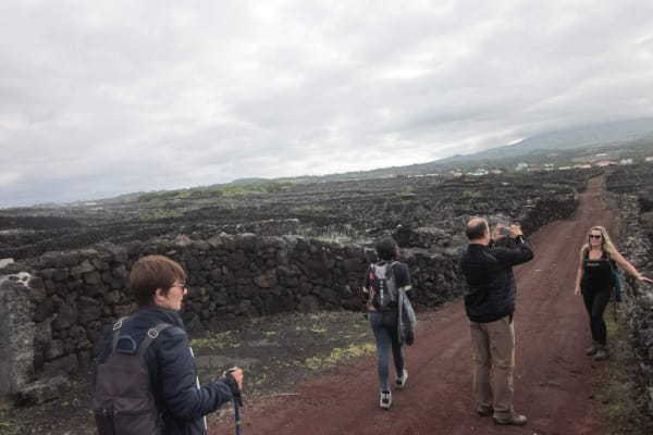 Foto 41 da atividade Galeria de Fotos