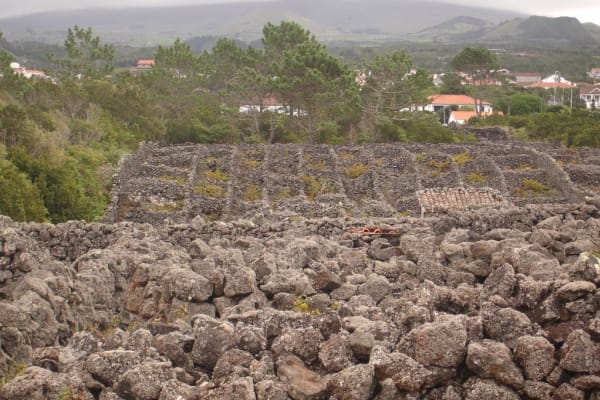 Foto 42 da atividade Galeria de Fotos