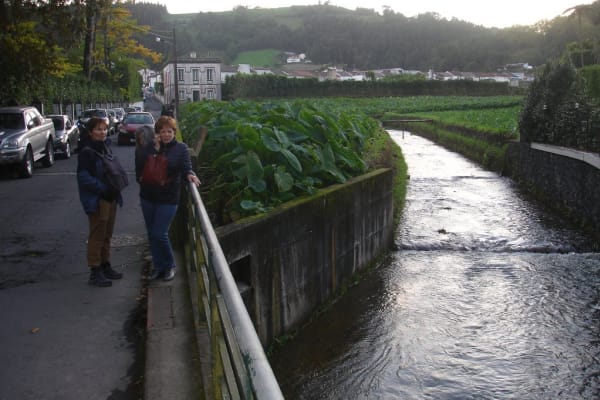 Foto 40 da atividade Galeria de Fotos