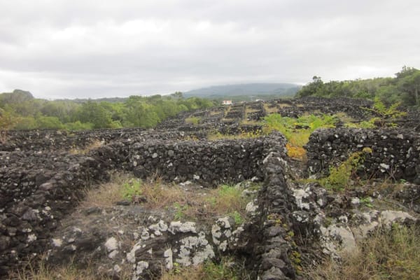 Foto 35 da atividade Galeria de Fotos