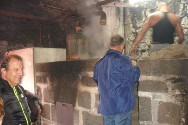 Foto 25 da atividade Galeria de Fotos