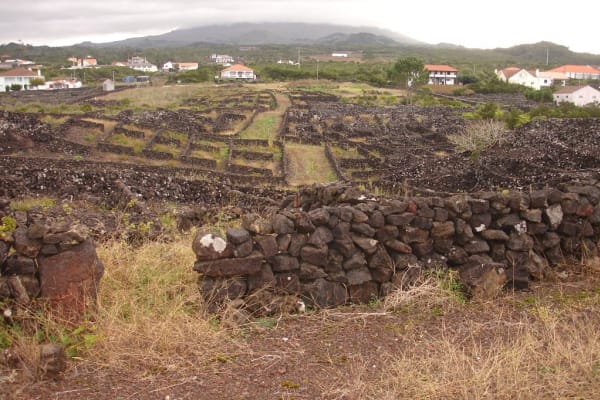 Foto 23 da atividade Galeria de Fotos