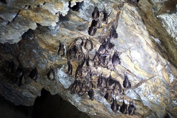 Foto 73 da atividade Galeria de Fotos