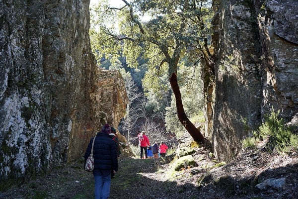 Foto 30 da atividade Galeria de Fotos