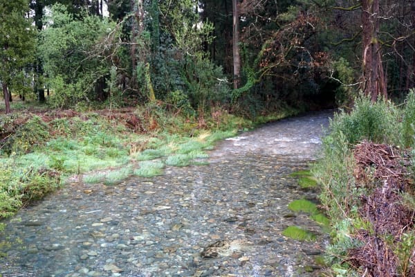 Foto 113 da atividade Galeria de Fotos