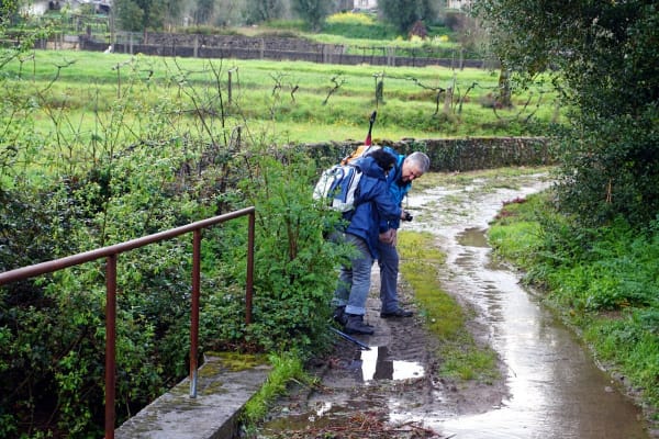 Foto 101 da atividade Galeria de Fotos