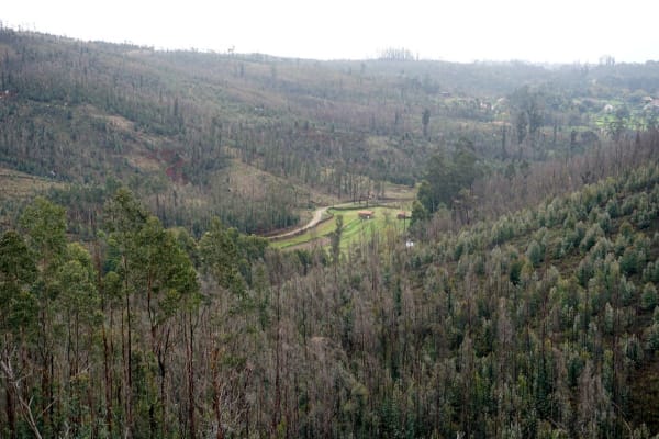 Foto 102 da atividade Galeria de Fotos