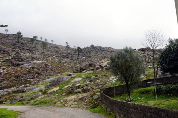 Foto 103 da atividade Galeria de Fotos