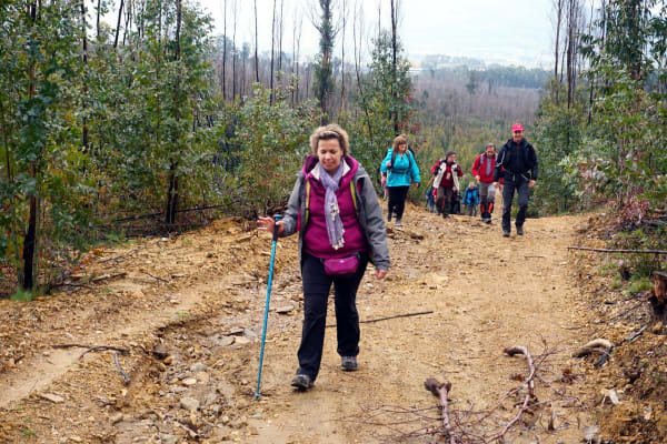 Foto 99 da atividade Galeria de Fotos