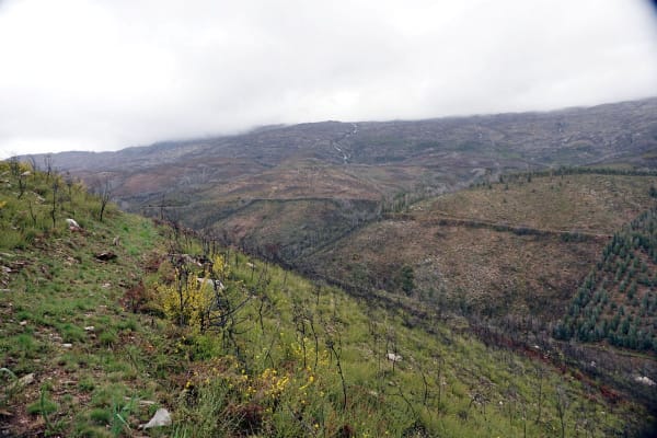 Foto 100 da atividade Galeria de Fotos