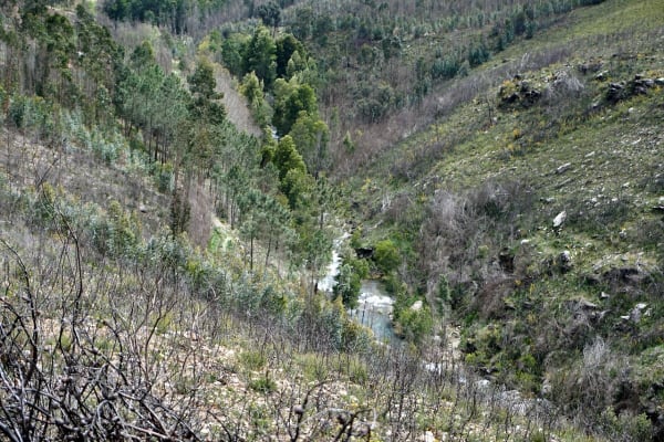 Foto 85 da atividade Galeria de Fotos