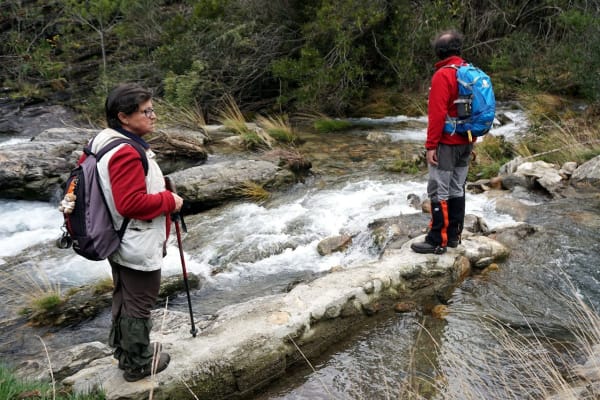 Foto 86 da atividade Galeria de Fotos