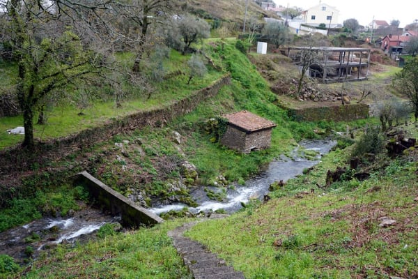 Foto 83 da atividade Galeria de Fotos