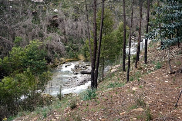 Foto 71 da atividade Galeria de Fotos