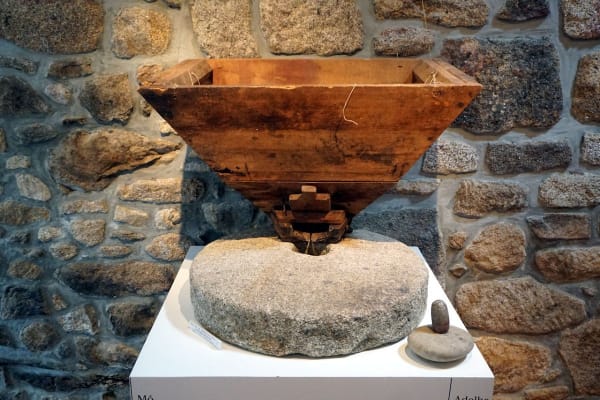 Foto 64 da atividade Galeria de Fotos