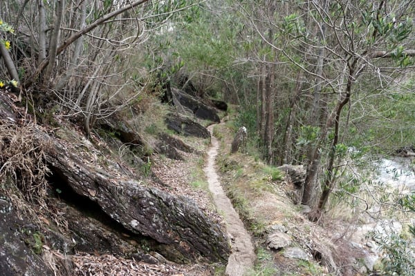 Foto 58 da atividade Galeria de Fotos