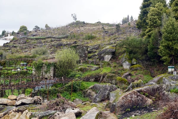 Foto 52 da atividade Galeria de Fotos