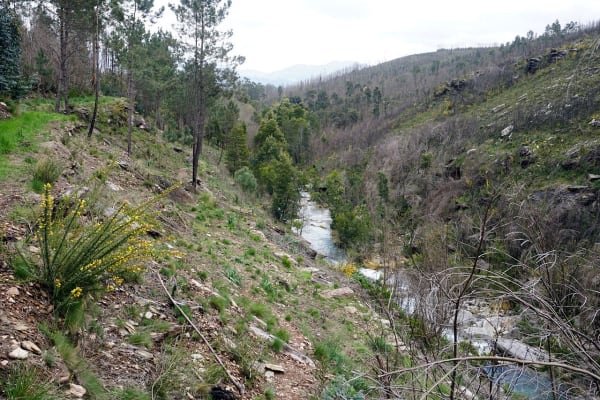 Foto 47 da atividade Galeria de Fotos