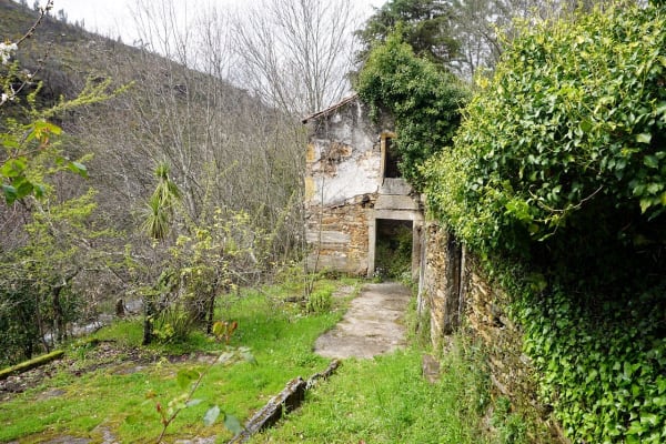 Foto 45 da atividade Galeria de Fotos