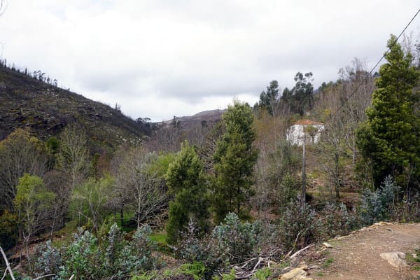 Foto 37 da atividade Galeria de Fotos