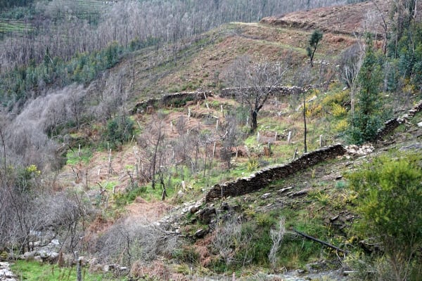 Foto 31 da atividade Galeria de Fotos