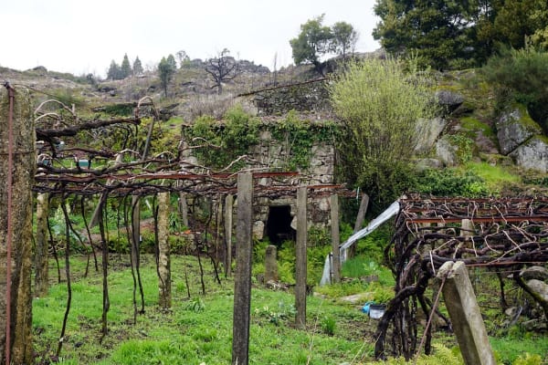 Foto 27 da atividade Galeria de Fotos