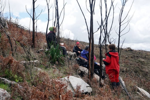 Foto 25 da atividade Galeria de Fotos