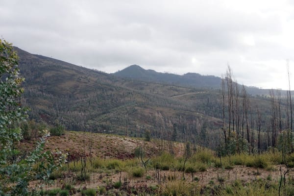 Foto 16 da atividade Galeria de Fotos