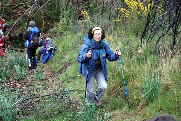 Foto 15 da atividade Galeria de Fotos