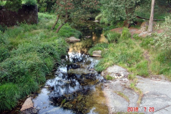 Foto 46 da atividade Galeria de Fotos