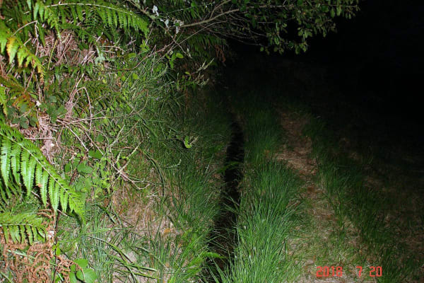 Foto 48 da atividade Galeria de Fotos