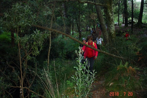 Foto 41 da atividade Galeria de Fotos