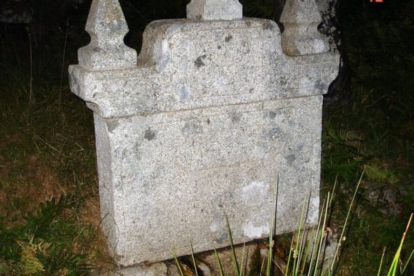 Foto 40 da atividade Galeria de Fotos