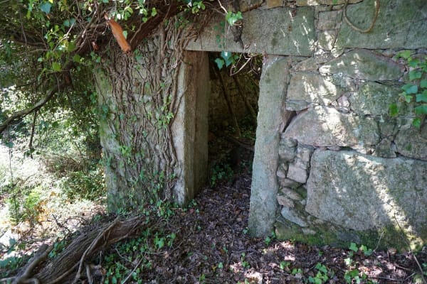 Foto 98 da atividade Galeria de Fotos