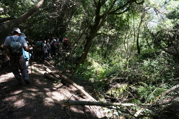 Foto 92 da atividade Galeria de Fotos