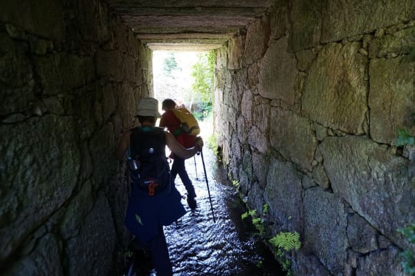 Foto 90 da atividade Galeria de Fotos