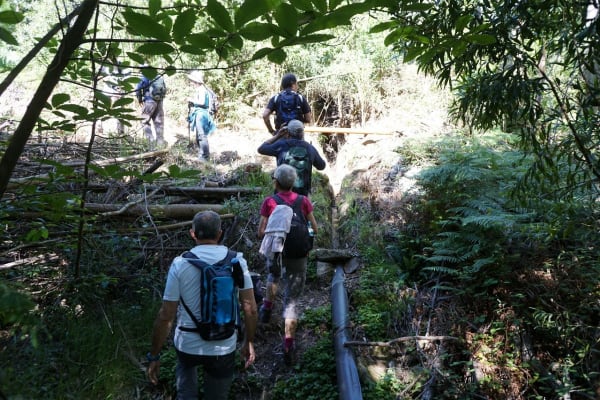 Foto 80 da atividade Galeria de Fotos