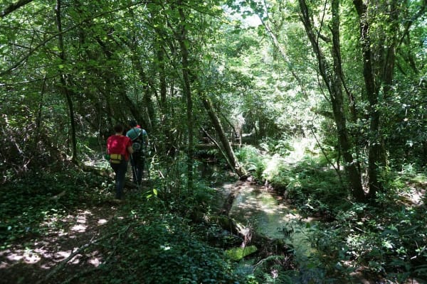 Foto 76 da atividade Galeria de Fotos