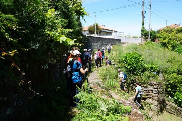 Foto 70 da atividade Galeria de Fotos