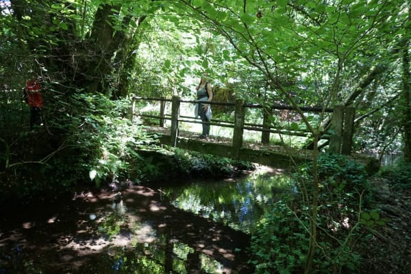 Foto 68 da atividade Galeria de Fotos