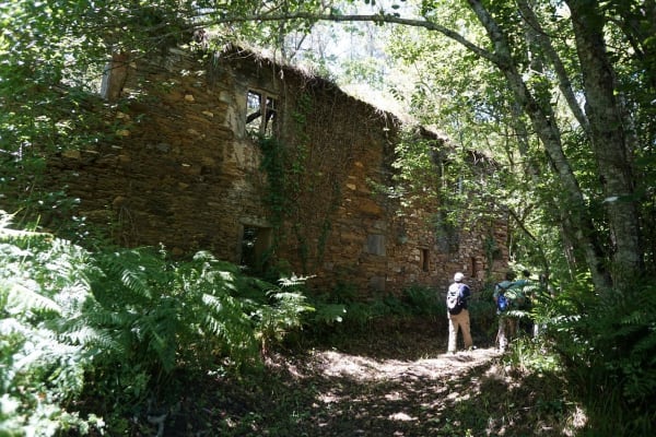 Foto 62 da atividade Galeria de Fotos