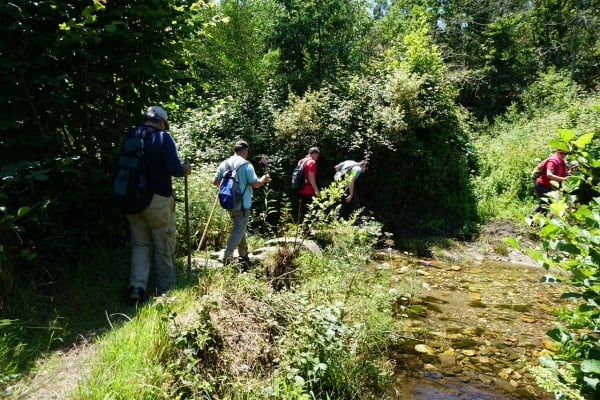 Foto 54 da atividade Galeria de Fotos